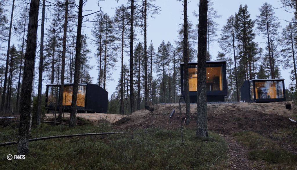 Lasi-igluja metsässä